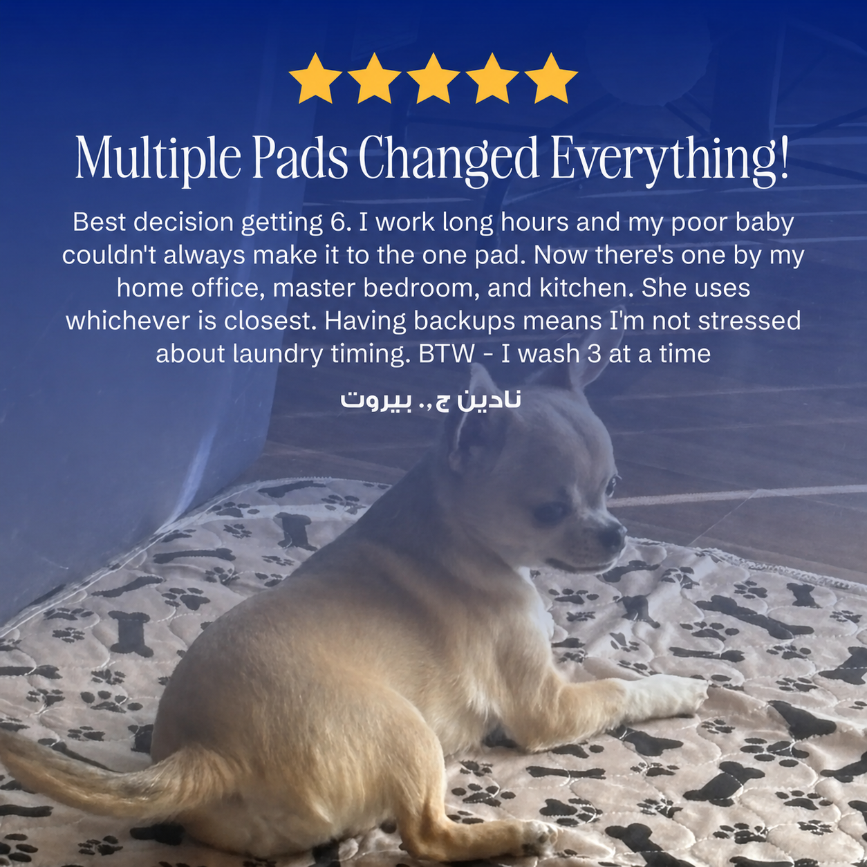 PuppyPad - The Last Pee Pad You&
