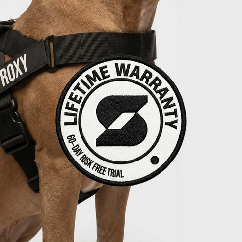 Dog Harness